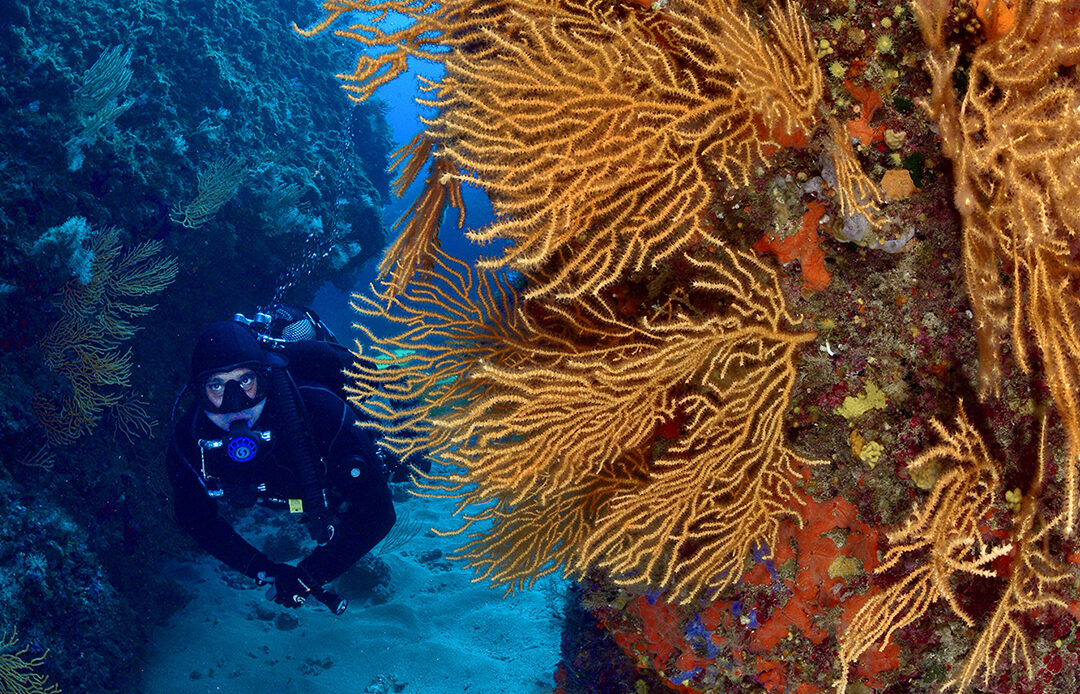 diving san vito lo capo