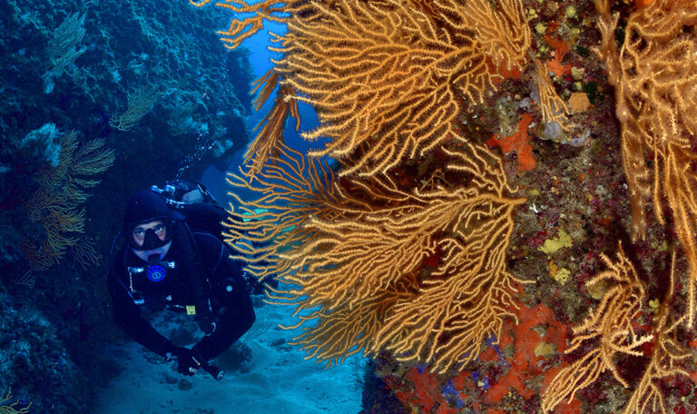 diving san vito lo capo