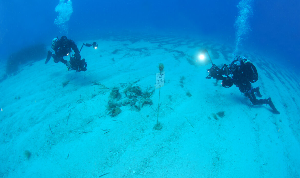 foto san vito lo capo