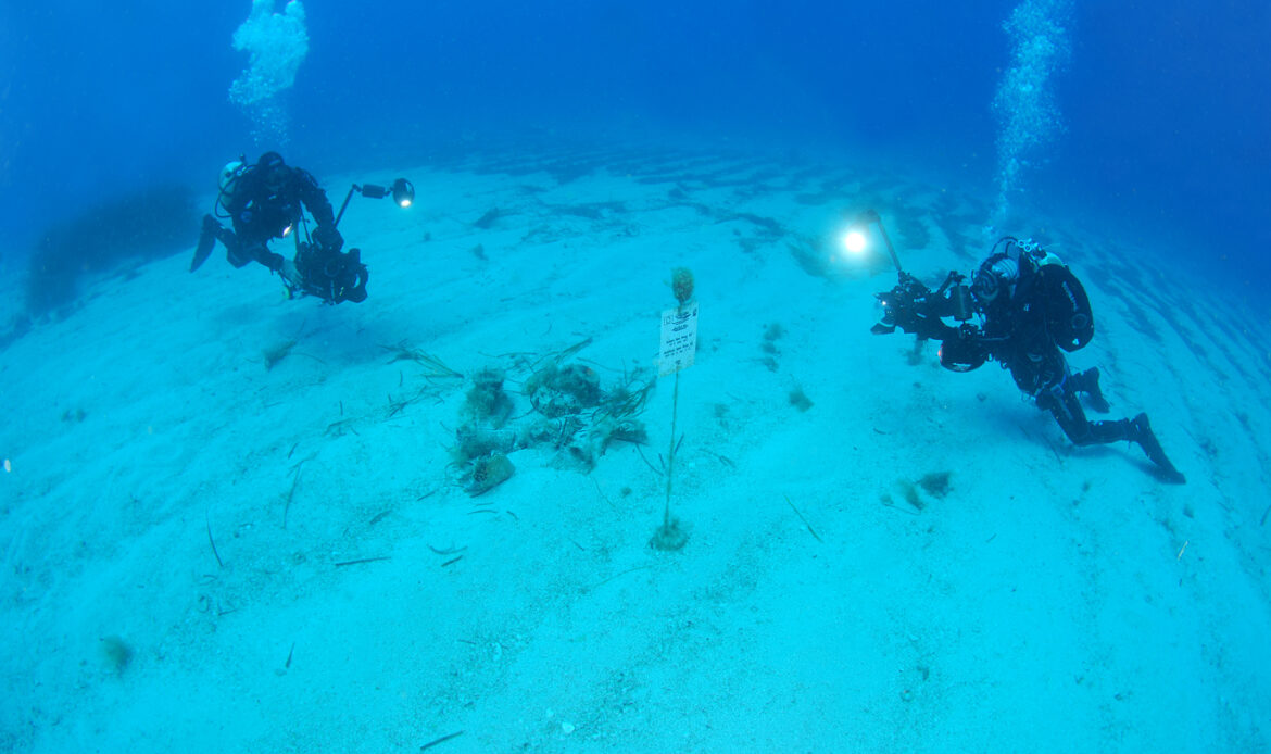 san vito lo capo blog