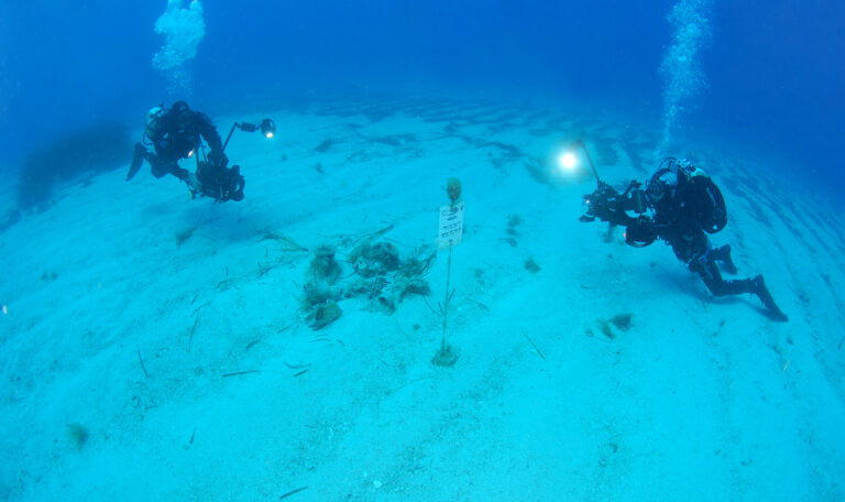 san vito lo capo blog