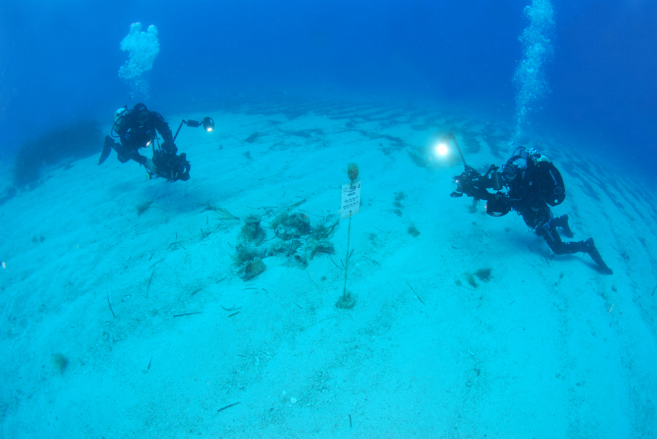 san vito lo capo blog