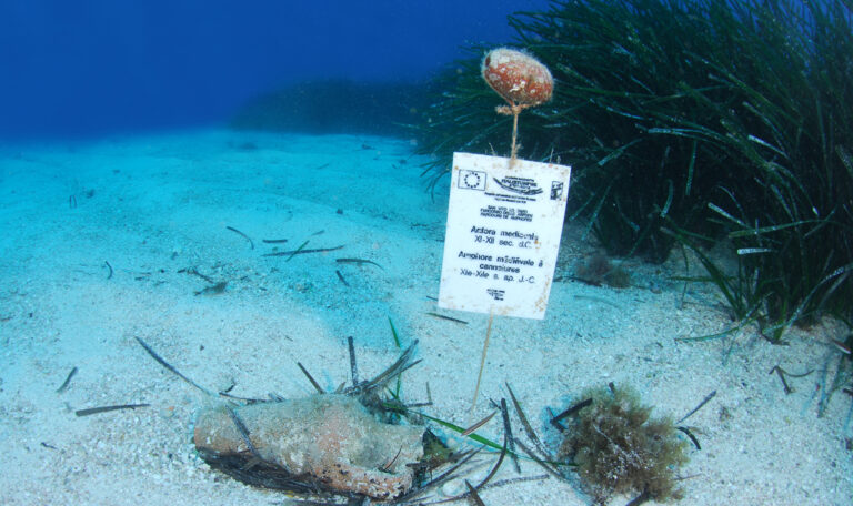 diving san vito lo capo